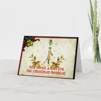 Kiss A Meerkat Holiday Card by Crazy_Card_Lady at Zazzle