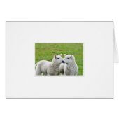 Kiss and Make up (Front Horizontal)