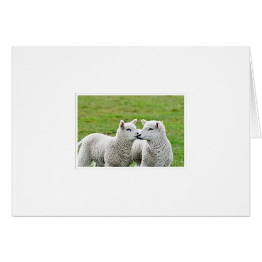 Kiss and Make up (Front Horizontal)