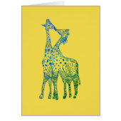 Kiss Giraffes African Giraffe Postcard (Front)