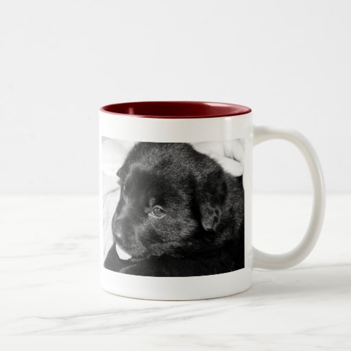 Kiss Good Morning Coffee Mugs | Zazzle