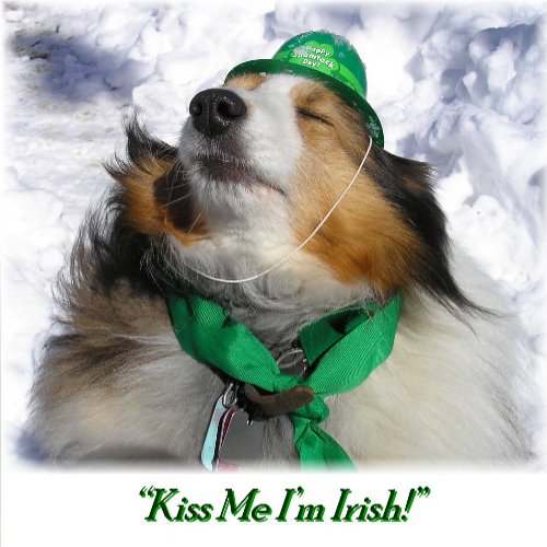 Kiss M e Im Irish Adult Apron