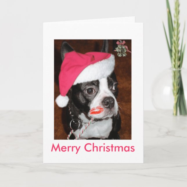 Kiss me Boston Terrier Holiday Card (Front)