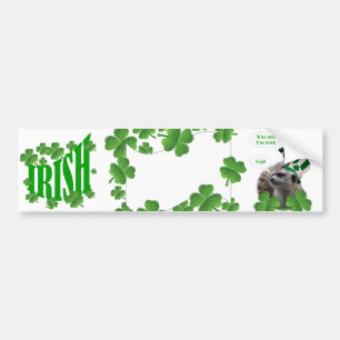 Kiss me I'm a Irish meerkat design Bumper Sticker