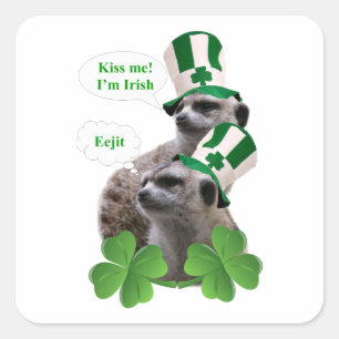Kiss me I'm a Irish meerkat design Square Sticker