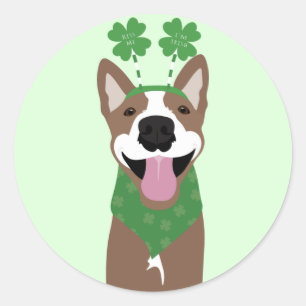Kiss Me I'm Irish Brown Dog Green Classic Round Sticker