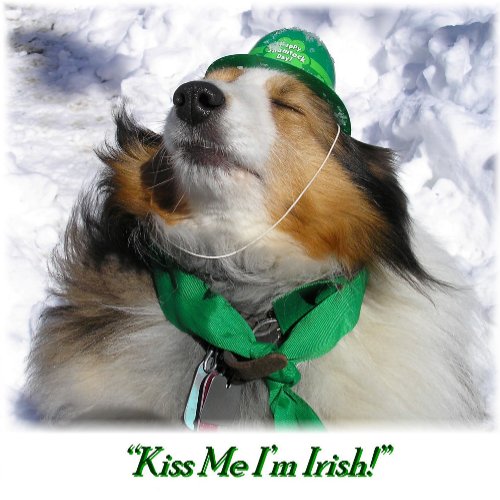 Kiss Me Im Irish Card