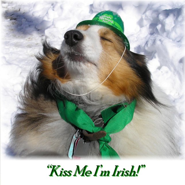 Kiss Me I'm Irish! Playing Cards (Creator Uploaded)