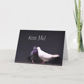 Kiss Me Love Pigeons Valentine Card by fotoplus at Zazzle