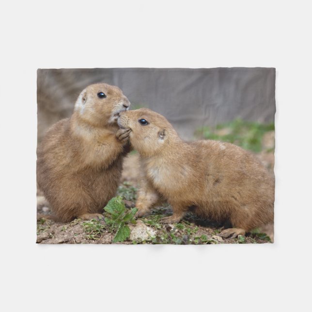 Kiss Me Quick Fleece Blanket (Front (Horizontal))