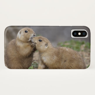 Kiss me Quick iPhone X Case
