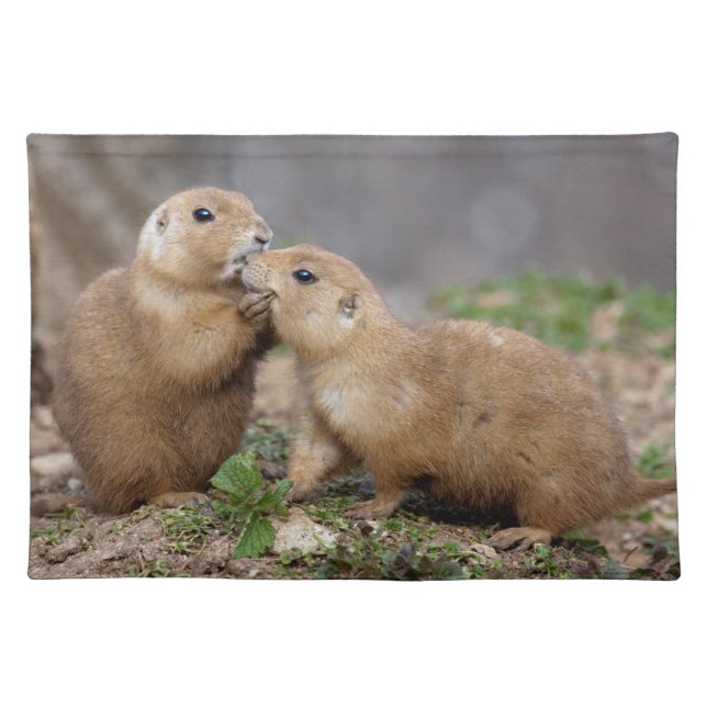 Kiss Me Quick Placemat (Front)