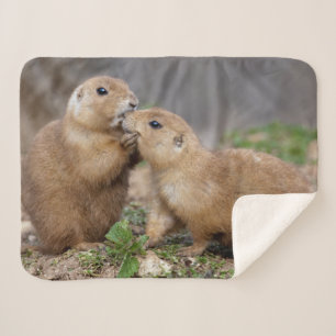 Kiss Me Quick Sherpa Blanket