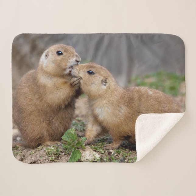 Kiss Me Quick Sherpa Blanket (Front (Horizontal))