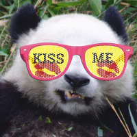 KISS ME retro Shades / Fun Party Sunglasses