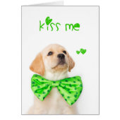 Kiss Me Yellow Labrador Puppy (Front)