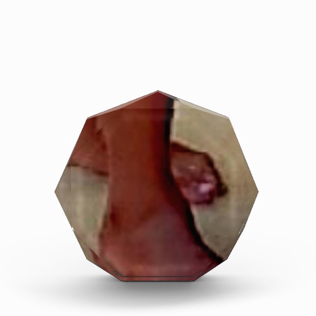 KISS MY FEET! AWARD (Front)