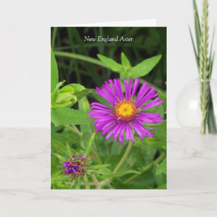 Kiss without a Hug... Gardening Quote Card