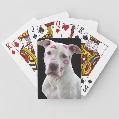 Kissable Pitbull Playing Cards