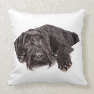 Kissen Riesenschnauzer Throw Pillow