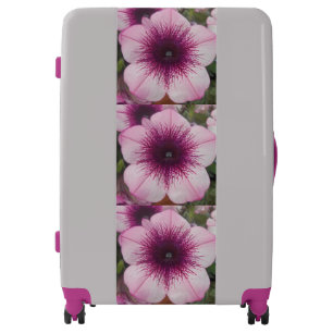 Kisses Luggage