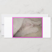 Kissia (Little Girl Kitty) Rack Card or Bookmark (Back)