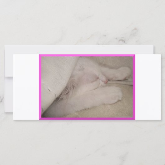 Kissia (Little Girl Kitty) Rack Card or Bookmark (Back)