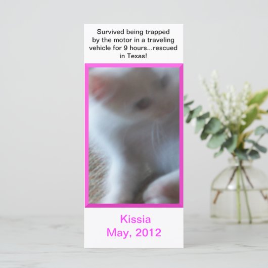 Kissia (Little Girl Kitty) Rack Card or Bookmark (Standing Front)
