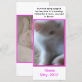 Kissia (Little Girl Kitty) Rack Card or Bookmark (Front/Back)