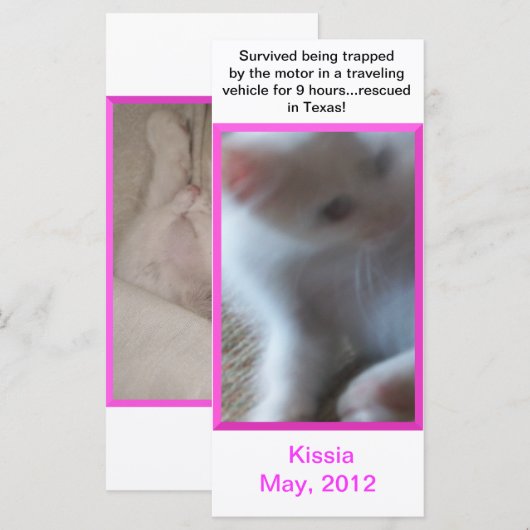 Kissia (Little Girl Kitty) Rack Card or Bookmark (Front/Back)