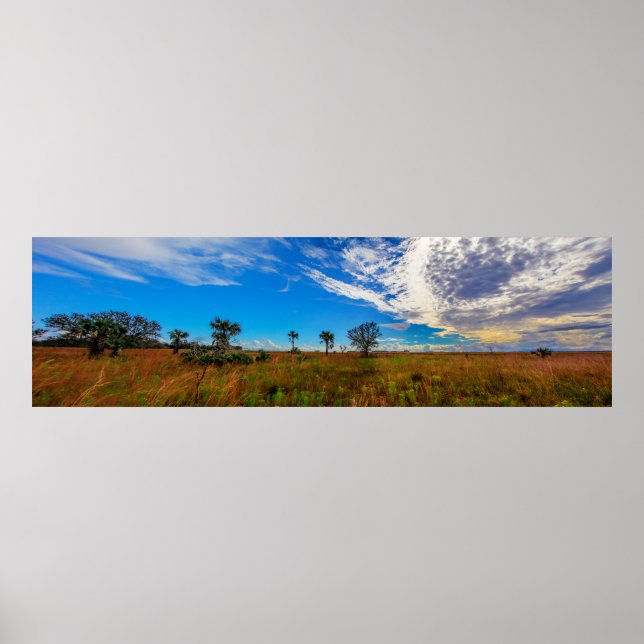 Kissimmee prairie preserve state park, Florida Poster (Front)