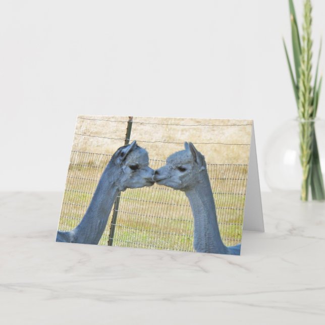 Kissing Alpacas on a Frameable Art Card (Front)