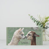 Kissing Alpacas photocard (Standing Front)
