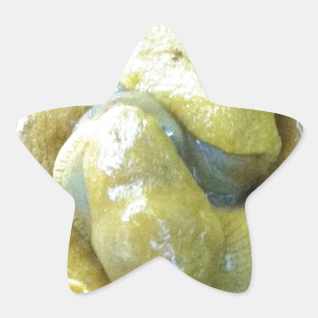 kissing banana slugs star sticker (Front)