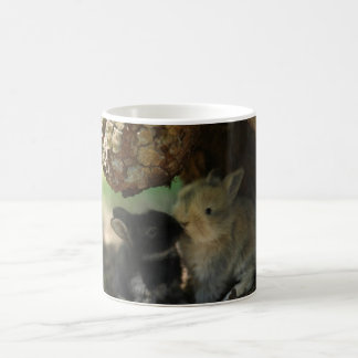 Kissing Bunnies Mug