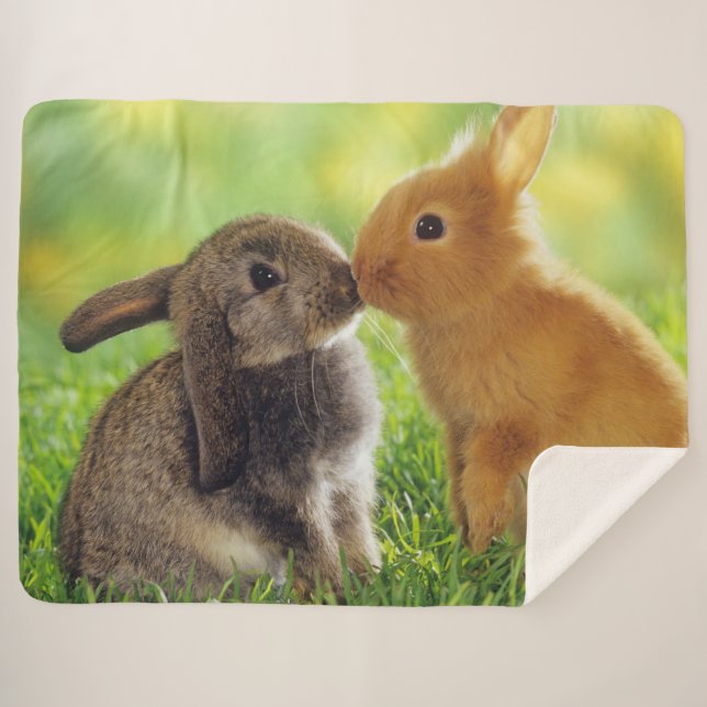 KISSING BUNNIES SHERPA BLANKET (Front (Horizontal))