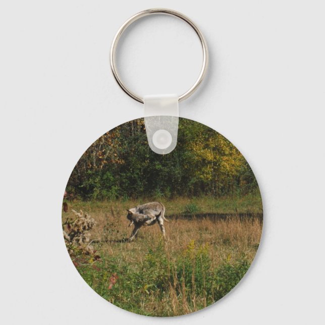 Kissing Butt Donkey Keychain (Front)