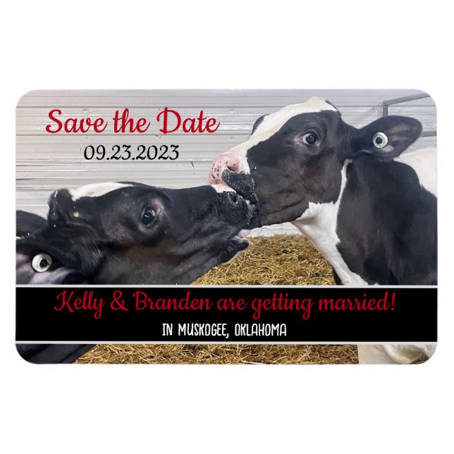 Kissing Calves Wedding Save the Date Magnet (Horizontal)