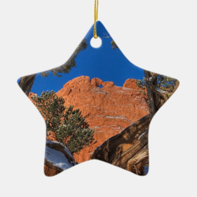 Kissing Camels Framed by Tree 01 Ceramic Ornament (Front)