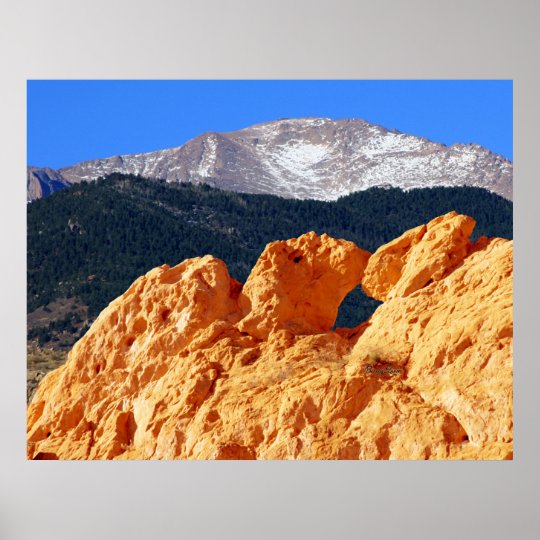 Kissing Camels Garden Of The Gods Poster Zazzle Com