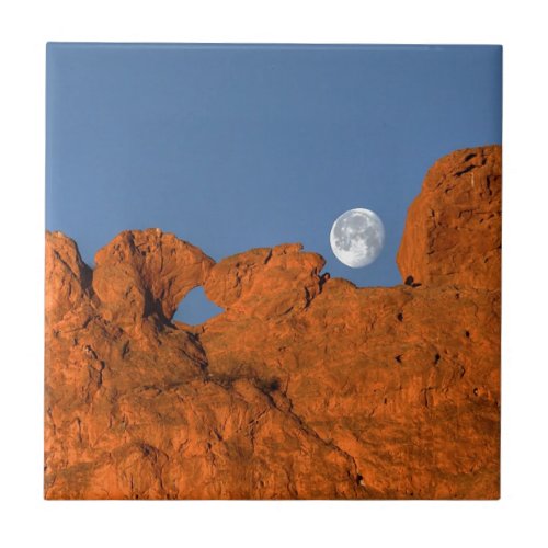 Kissing Camels Rock Formation with Full Moon Tile