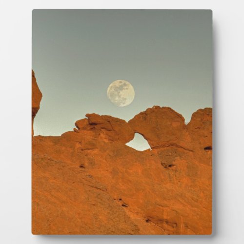Kissing Camels Under Moon 01 Plaque