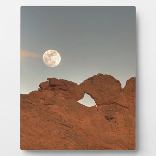 Kissing Camels Under Moon 03 Plaque