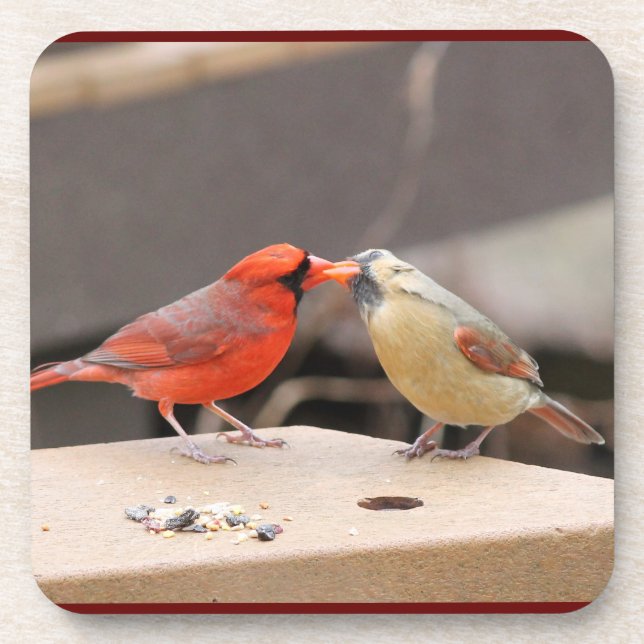 Kissing Cardinals Beverage Coaster (Front)