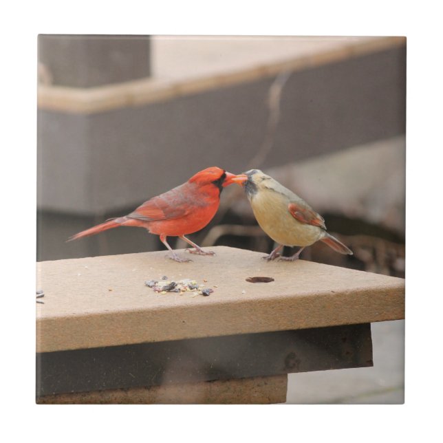 Kissing Cardinals Ceramic Tile (Front)