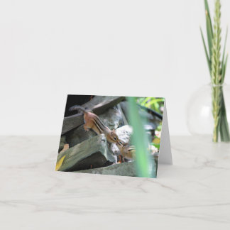 Kissing Chipmunks Card