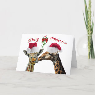 Kissing Christmas Giraffes Under Mistletoe Holiday Card