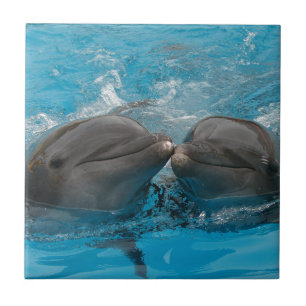 Kissing Dolphins Tile