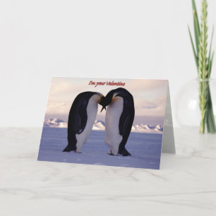 Kissing Emperor Penguin Valentine'... Holiday Card