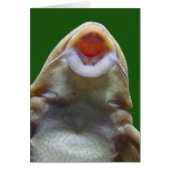 Kissing Fish Greeting Card (Front)